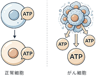 がんとATPの関係イメージ